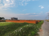 5 Katha Plot Sale Bashundhara Residential Area